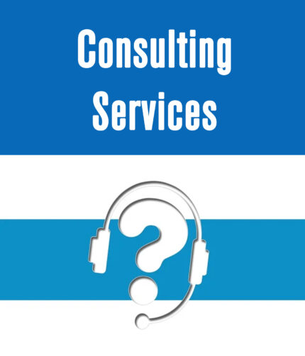 Consulting Services